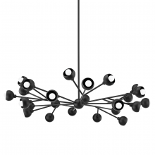  F7424-SBK - Colt Chandelier