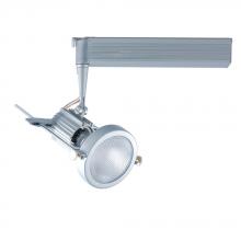  HMH901P20201M - Single-Light Metal Halide Track Head