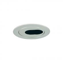  TM303CH - 3-inch aperture Low Voltage Trim with adjustable Oval Slot Aperture.