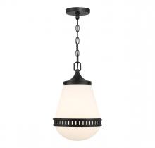  V6-L7-7950-1-89 - Endura 1-Light Pendant in Matte Black