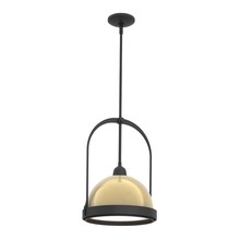  187462-SKT-MULT-10-86 - Atlas Small Pendant