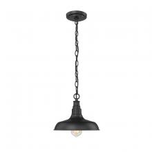  2952-PBK - Outdoor Hanging Lantern