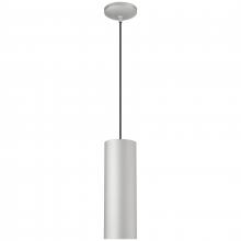  29002-SAT-C - Pendant