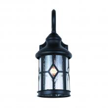  IOL208BK - Outdoor 1 Light Outdoor Lantern, Black Finish