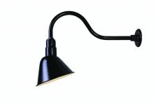  BL10WACBK - Barn Light 1 Light Outdoor Lantern, Black Finish