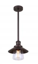  IPL521A01ORB - INDI, Spec. IPL521A01ORB, 1 Lt Pendant, 100W Type A, Clear Glass, 9 IN x 16 IN - 44 IN