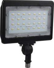  65/537R1 - LED Large Flood Light; 50W; 3000K; Bronze Finish; 100V-277V; Dimmable