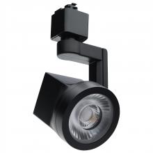  TH652 - Lantern; 12 Watt LED Track Head; 24 Degree Beam Spread; 3000K; Black Finish