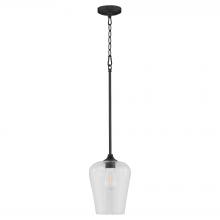  3313-59 - Raymond 1 Light Pendant, Matte Black