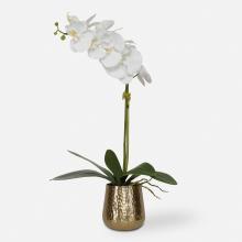  60189 - Cami Orchid With Brass Pot