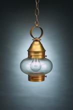  2022-DB-MED-CLR - Onion Hanging No Cage Dark Brass Medium Base Socket Clear Glass